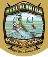 Reel Florida Fishing Charters |