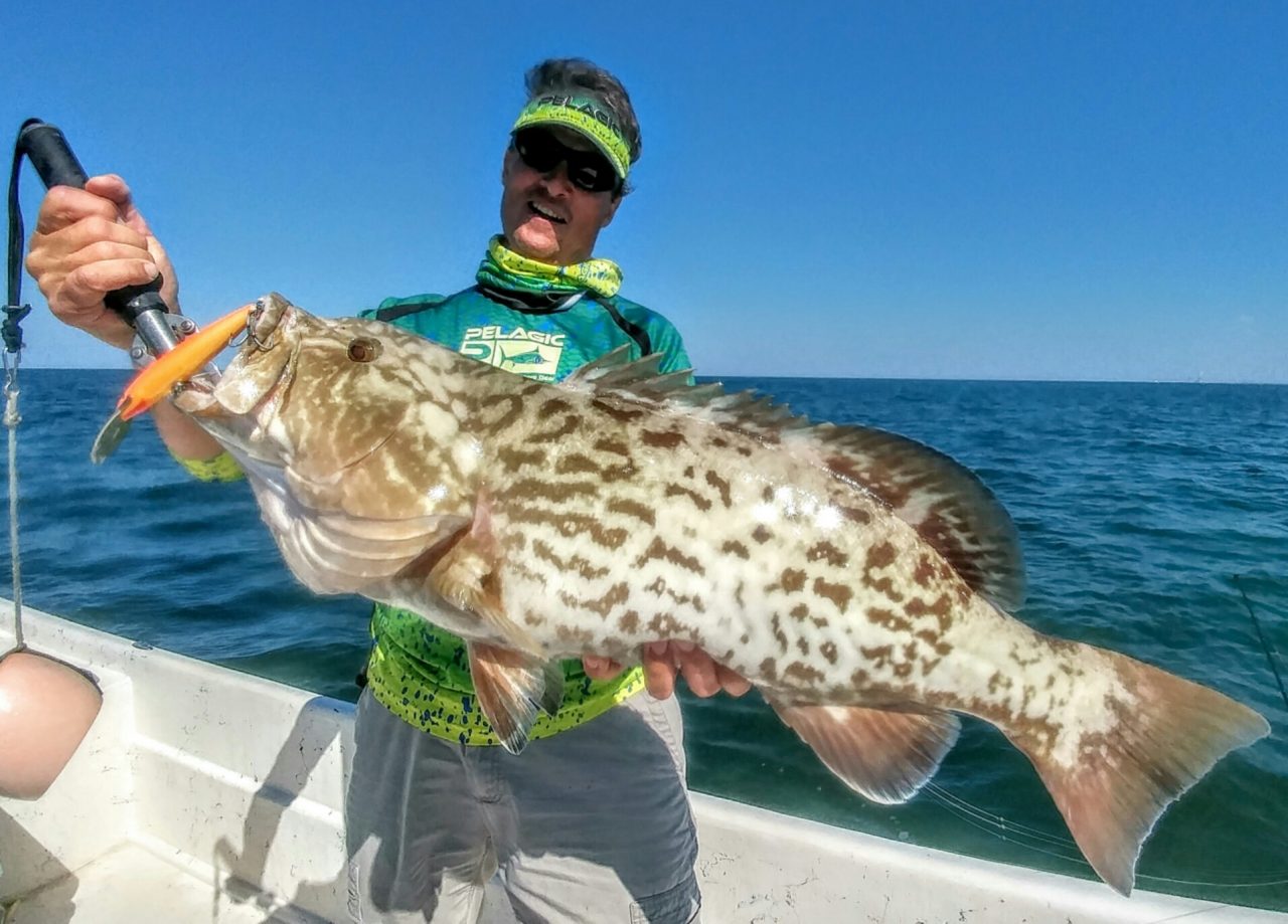 shallow-water-grouper-reel-florida-fishing-charters