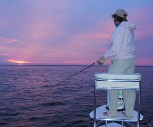 Inshore Action on FIRE along the Nature Coast.