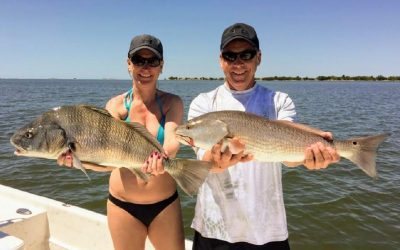 Nature Coast Catching Action