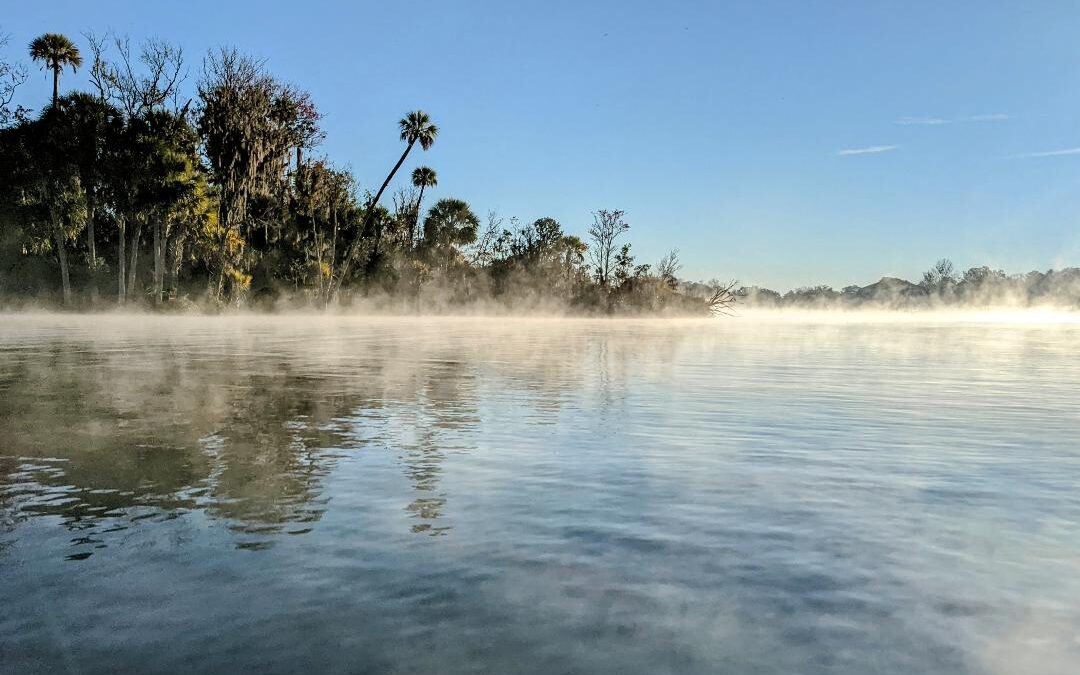 February fishing in Crystal River