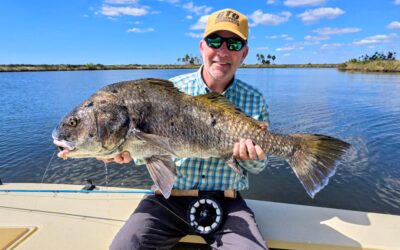 Nature Coast Fishing Report